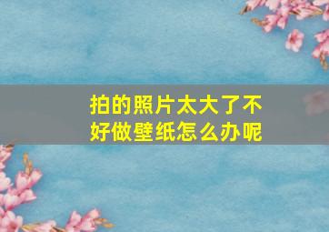 拍的照片太大了不好做壁纸怎么办呢