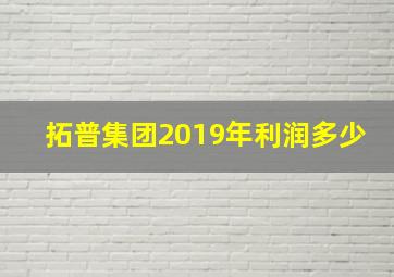 拓普集团2019年利润多少