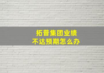 拓普集团业绩不达预期怎么办