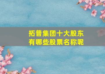 拓普集团十大股东有哪些股票名称呢