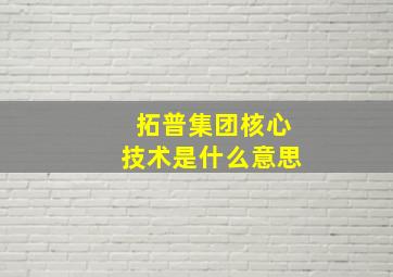 拓普集团核心技术是什么意思