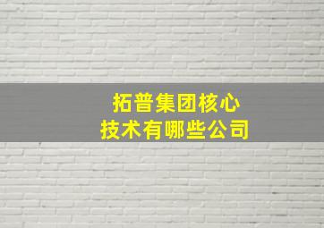 拓普集团核心技术有哪些公司