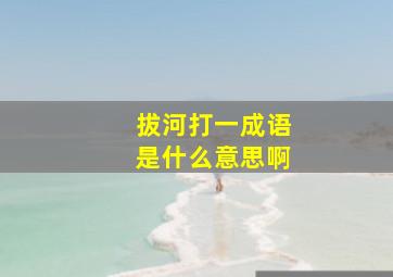 拔河打一成语是什么意思啊