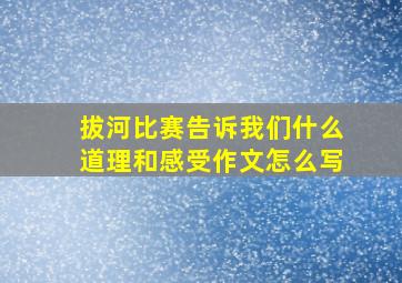 拔河比赛告诉我们什么道理和感受作文怎么写