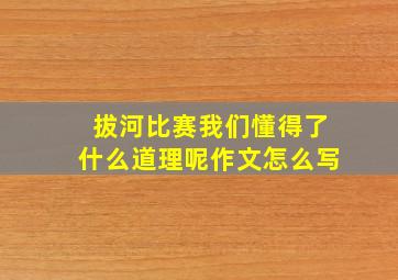 拔河比赛我们懂得了什么道理呢作文怎么写