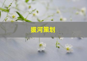 拔河策划