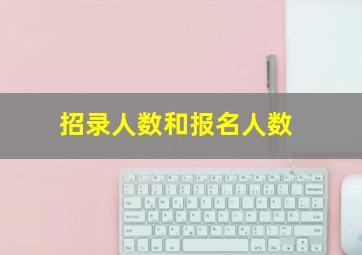 招录人数和报名人数