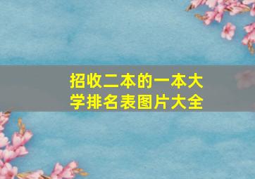 招收二本的一本大学排名表图片大全