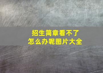 招生简章看不了怎么办呢图片大全