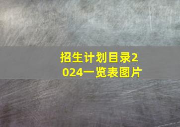 招生计划目录2024一览表图片