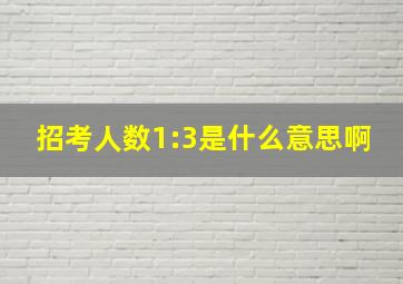 招考人数1:3是什么意思啊