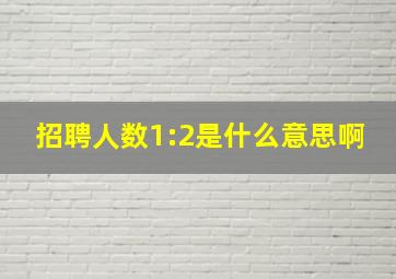 招聘人数1:2是什么意思啊