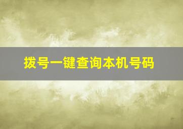 拨号一键查询本机号码