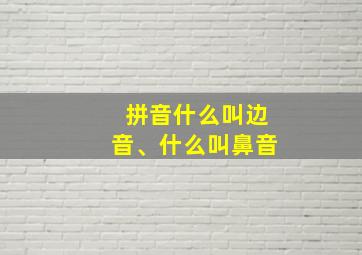 拼音什么叫边音、什么叫鼻音