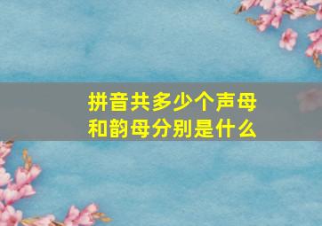 拼音共多少个声母和韵母分别是什么