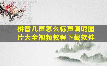 拼音几声怎么标声调呢图片大全视频教程下载软件