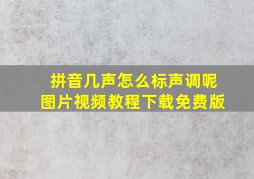 拼音几声怎么标声调呢图片视频教程下载免费版