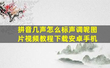 拼音几声怎么标声调呢图片视频教程下载安卓手机