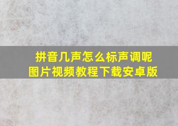 拼音几声怎么标声调呢图片视频教程下载安卓版