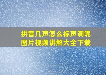 拼音几声怎么标声调呢图片视频讲解大全下载