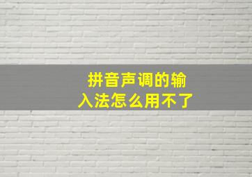 拼音声调的输入法怎么用不了