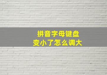 拼音字母键盘变小了怎么调大