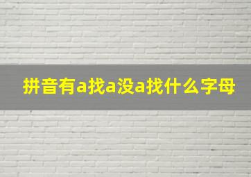 拼音有a找a没a找什么字母