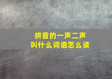 拼音的一声二声叫什么词语怎么读