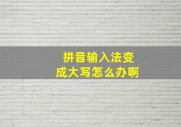 拼音输入法变成大写怎么办啊