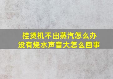 挂烫机不出蒸汽怎么办没有烧水声音大怎么回事