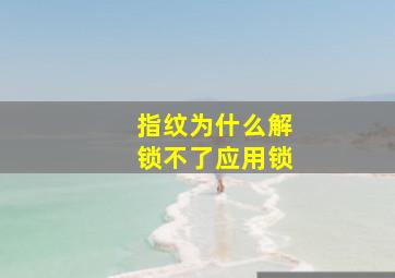 指纹为什么解锁不了应用锁