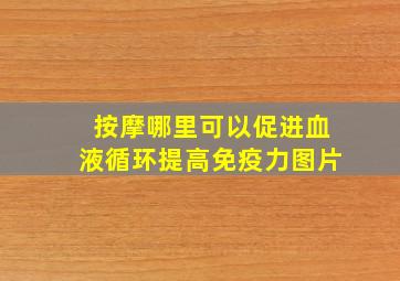 按摩哪里可以促进血液循环提高免疫力图片