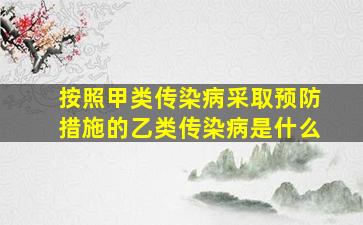 按照甲类传染病采取预防措施的乙类传染病是什么