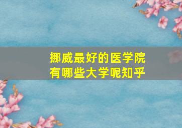 挪威最好的医学院有哪些大学呢知乎