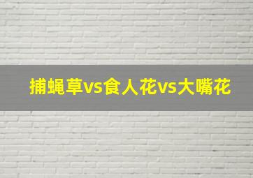 捕蝇草vs食人花vs大嘴花