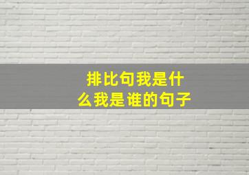 排比句我是什么我是谁的句子