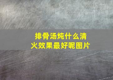 排骨汤炖什么清火效果最好呢图片