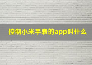 控制小米手表的app叫什么