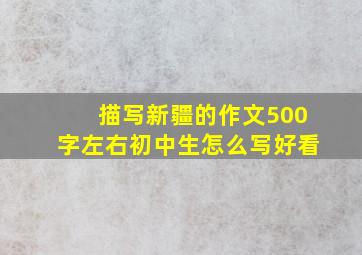 描写新疆的作文500字左右初中生怎么写好看