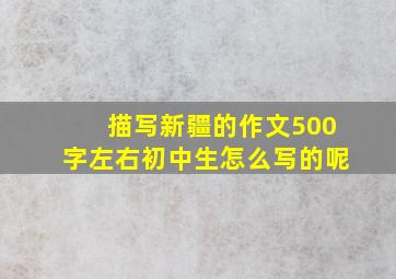 描写新疆的作文500字左右初中生怎么写的呢