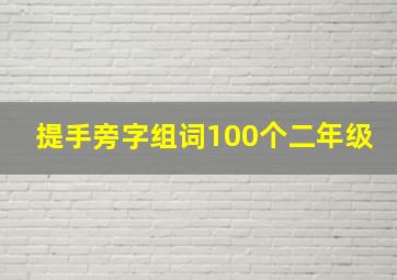 提手旁字组词100个二年级