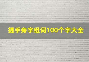 提手旁字组词100个字大全