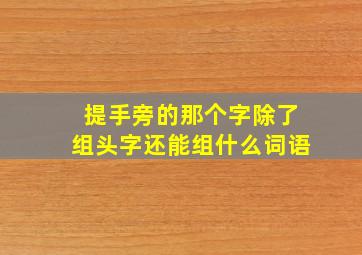 提手旁的那个字除了组头字还能组什么词语