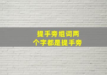 提手旁组词两个字都是提手旁