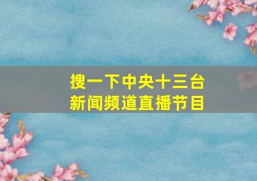 搜一下中央十三台新闻频道直播节目