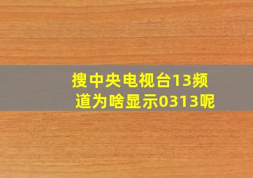 搜中央电视台13频道为啥显示0313呢