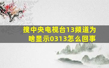 搜中央电视台13频道为啥显示0313怎么回事