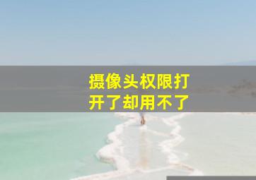 摄像头权限打开了却用不了