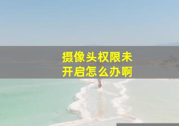 摄像头权限未开启怎么办啊