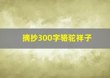 摘抄300字骆驼祥子